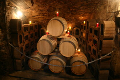 Barriquefässer im historischen Weinkeller - Weinproben genießen
