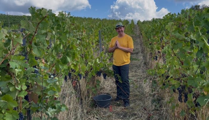 Winzer Harald Wörner Dankt den Reben, der Natur, Mutter Erde im Weinberg