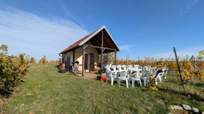 Weinbergshütte - Vorbereitung Pause