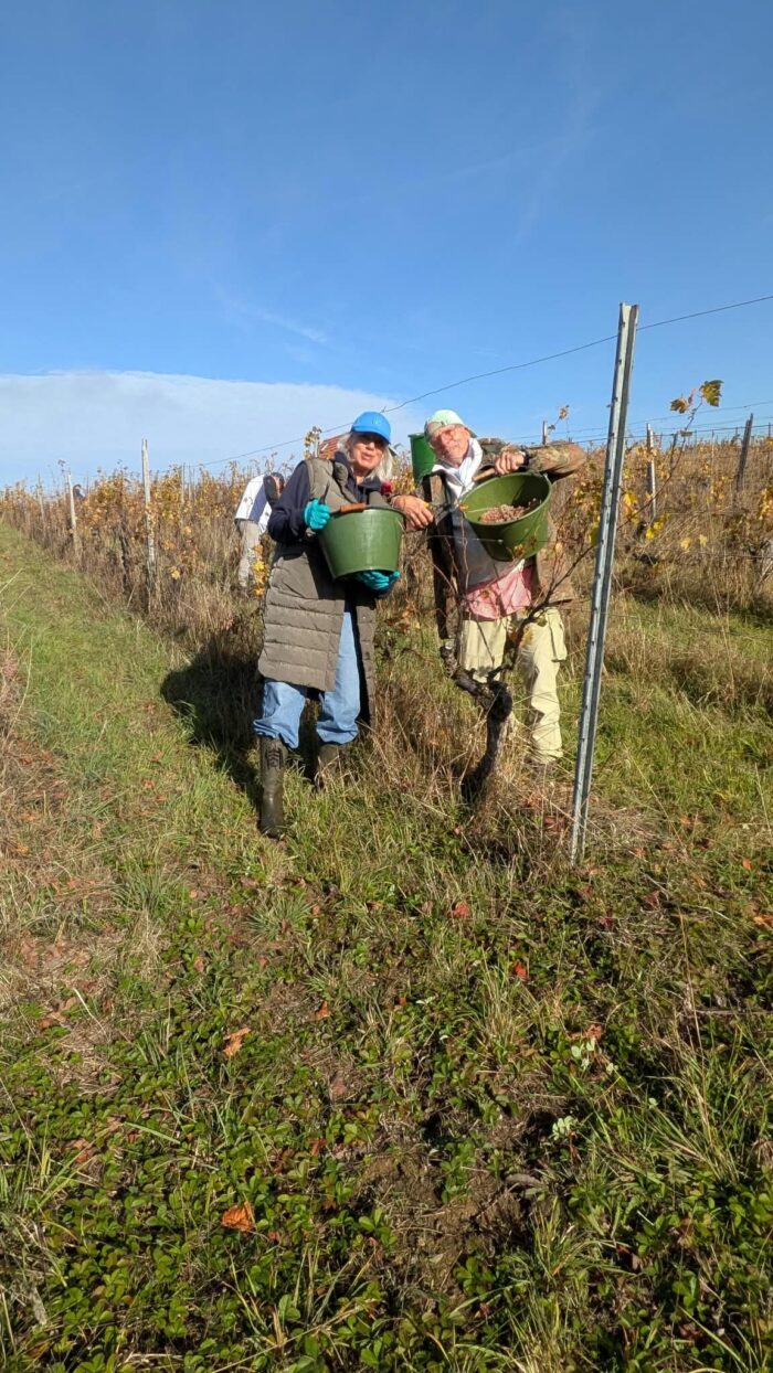 Zwei Spaßvögeln im Weinberg
